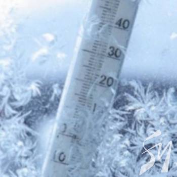 �������� � �������� ������������ 5 ������ �� ������� 75 ����